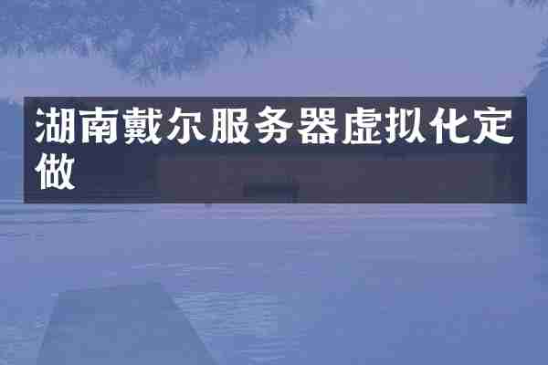 湖南戴尔服务器虚拟化定做