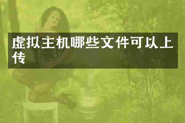 虚拟主机哪些文件可以上传