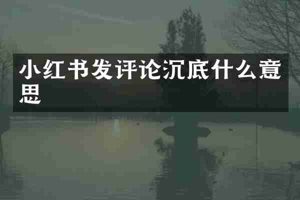 小红书发评论沉底什么意思