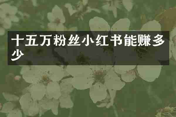 十五万粉丝小红书能赚多少