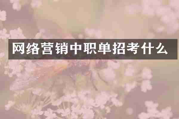网络营销中职单招考什么