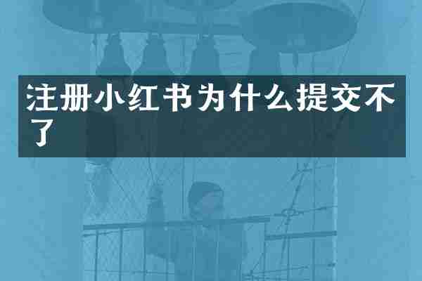 注册小红书为什么提交不了