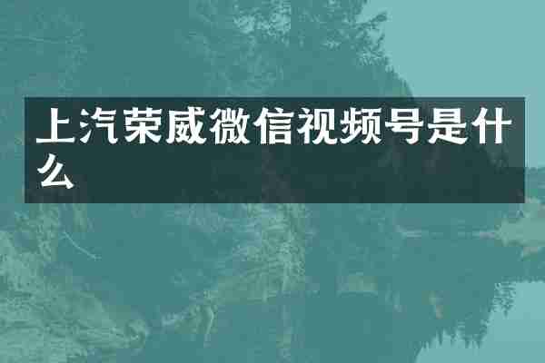 上汽荣威微信视频号是什么