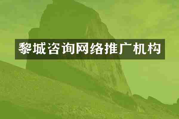 黎城咨询网络推广机构