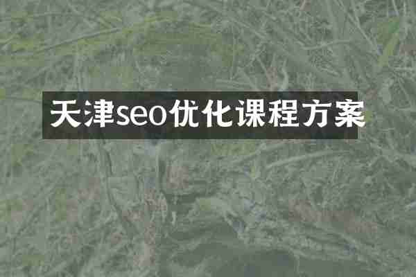 天津seo优化课程方案
