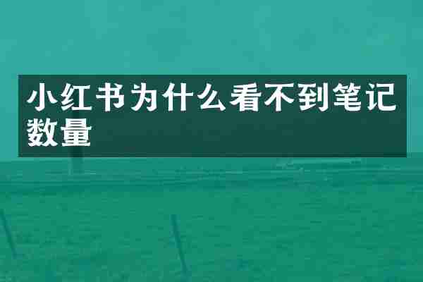 小红书为什么看不到笔记数量