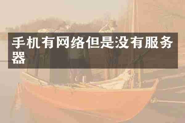 手机有网络但是没有服务器