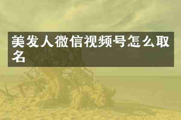美发人微信视频号怎么取名