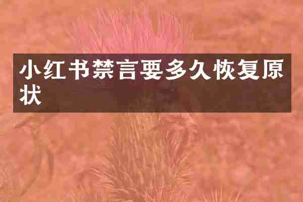 小红书禁言要多久恢复原状