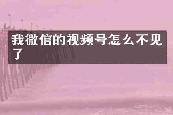 我微信的视频号怎么不见了