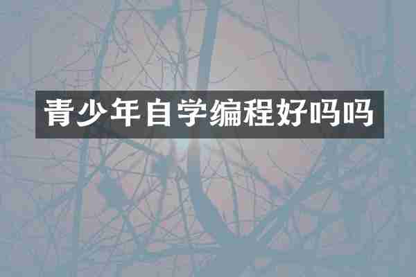 青少年自学编程好吗吗