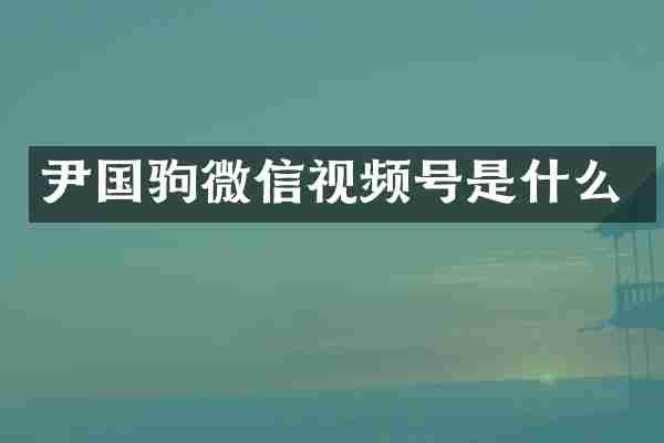 尹国驹微信视频号是什么
