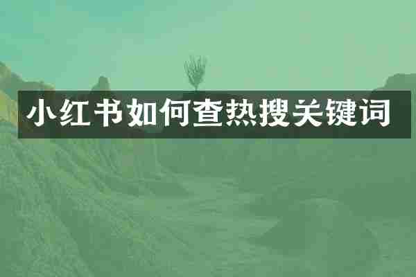 小红书如何查热搜关键词