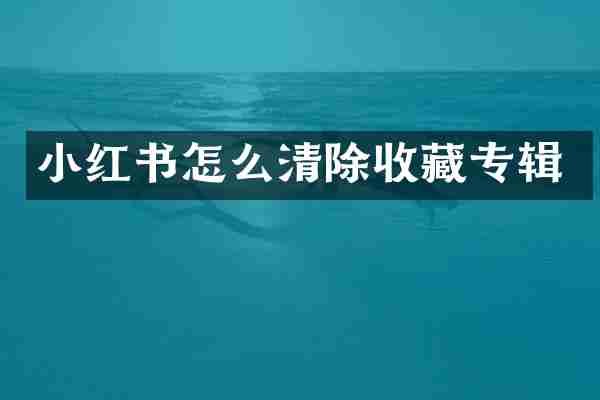 小红书怎么清除收藏专辑