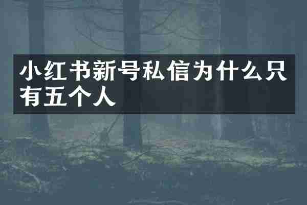 小红书新号私信为什么只有五个人
