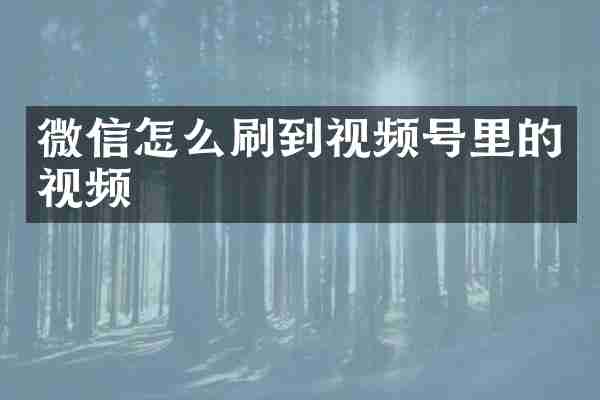 微信怎么刷到视频号里的视频