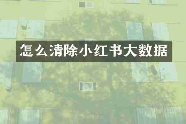 怎么清除小红书大数据