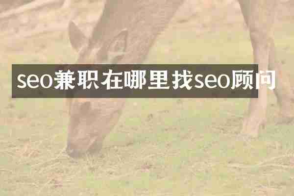 seo兼职在哪里找seo顾问
