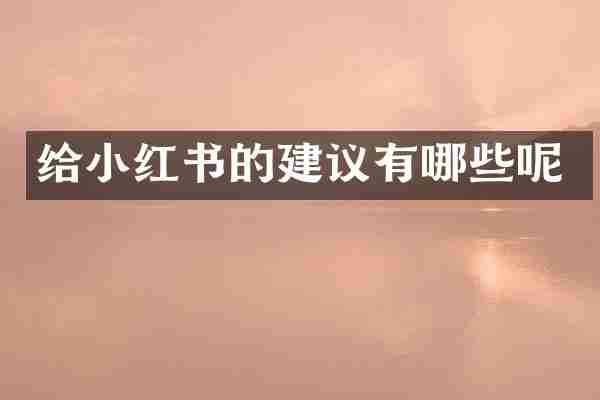 给小红书的建议有哪些呢
