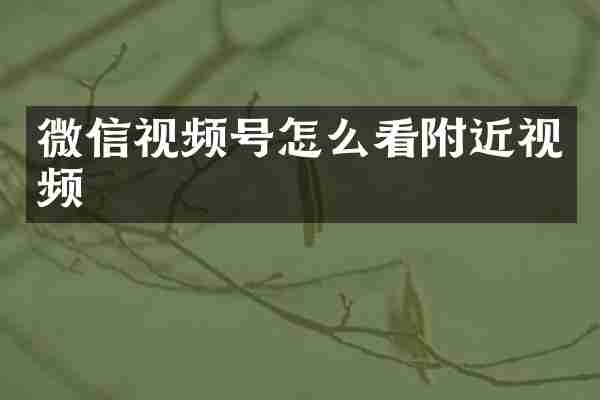 微信视频号怎么看附近视频