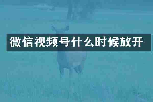 微信视频号什么时候放开
