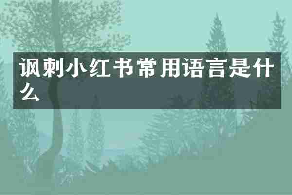 讽刺小红书常用语言是什么