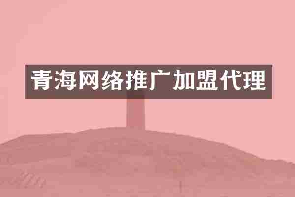 青海网络推广加盟代理