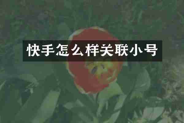 快手怎么样关联小号