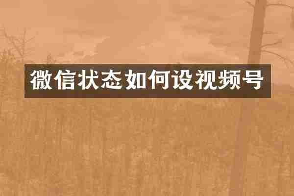 微信状态如何设视频号