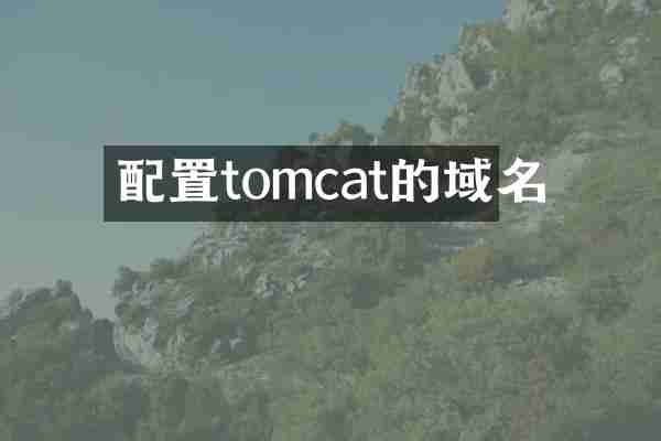配置tomcat的域名