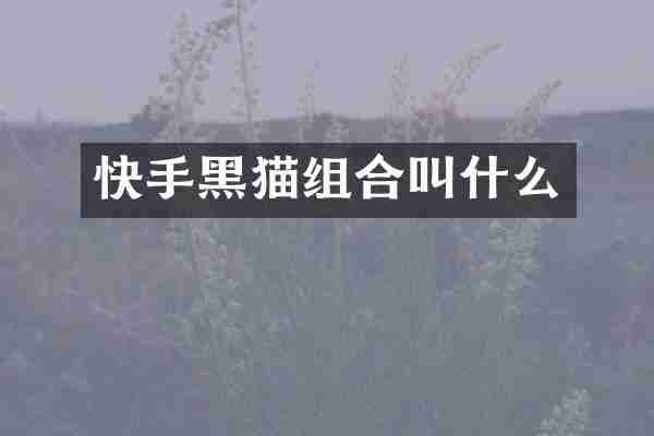 快手黑猫组合叫什么