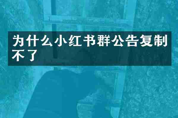 为什么小红书群公告复制不了