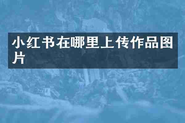 小红书在哪里上传作品图片