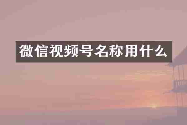 微信视频号名称用什么