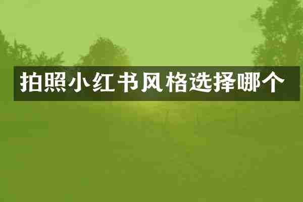 拍照小红书风格选择哪个
