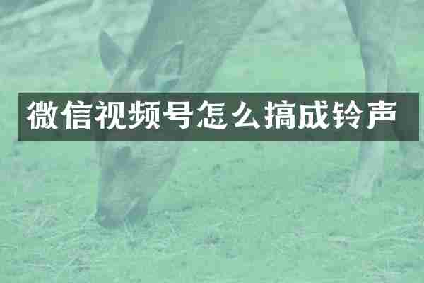 微信视频号怎么搞成铃声