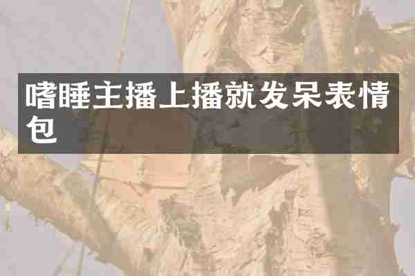 嗜睡主播上播就发呆表情包