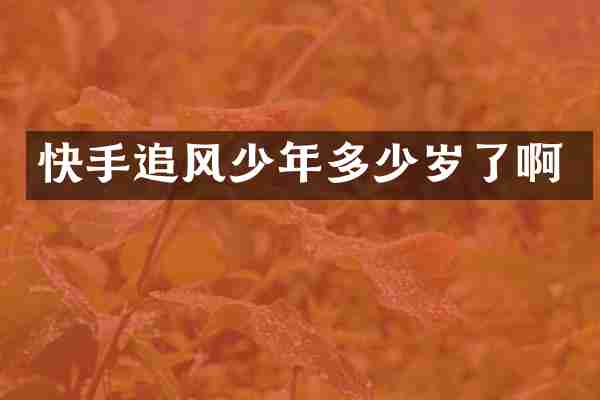 快手追风少年多少岁了啊