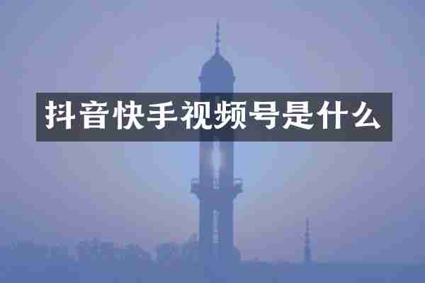 抖音快手视频号是什么