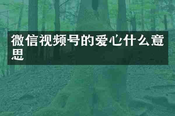 微信视频号的爱心什么意思