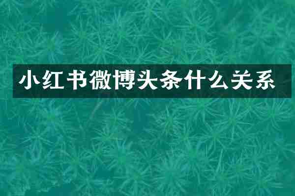 小红书微博头条什么关系