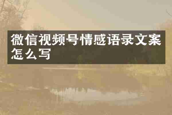 微信视频号情感语录文案怎么写