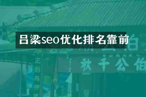 吕梁seo优化排名靠前