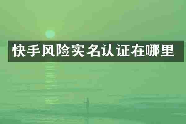快手风险实名认证在哪里