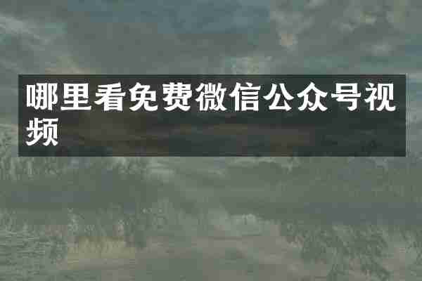哪里看免费微信公众号视频