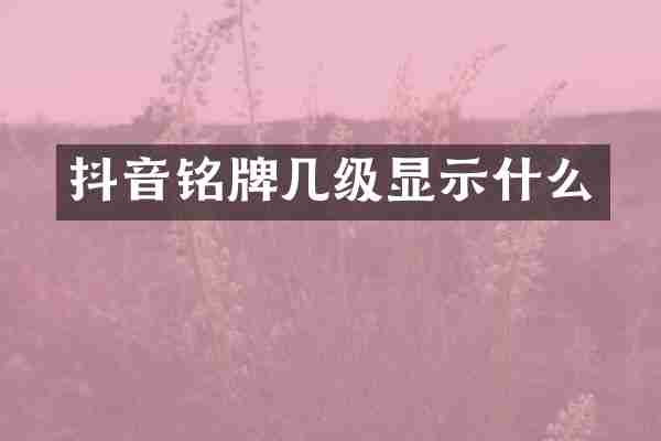 抖音铭牌几级显示什么