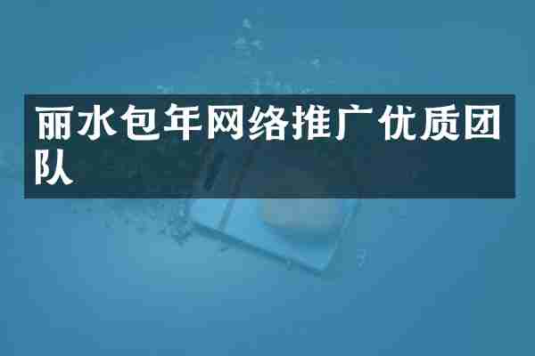 丽水包年网络推广优质团队