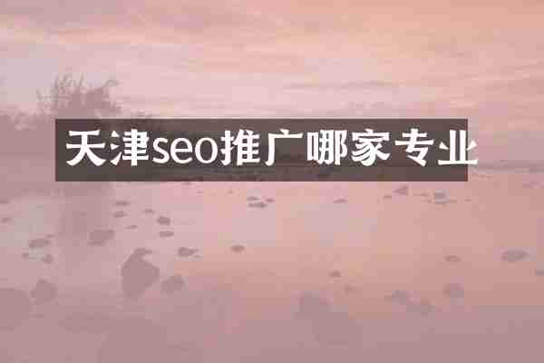 天津seo推广哪家专业