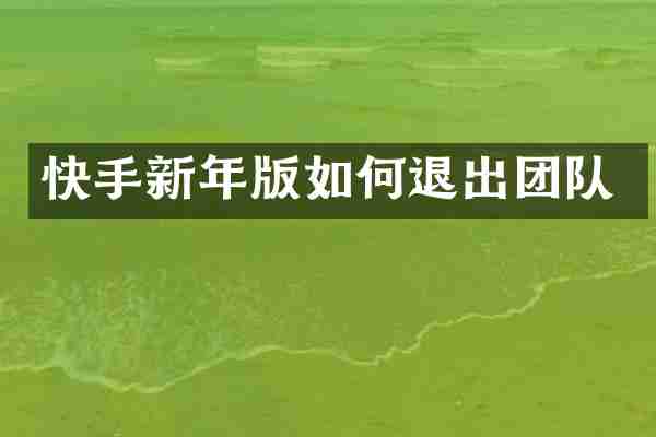 快手新年版如何退出团队