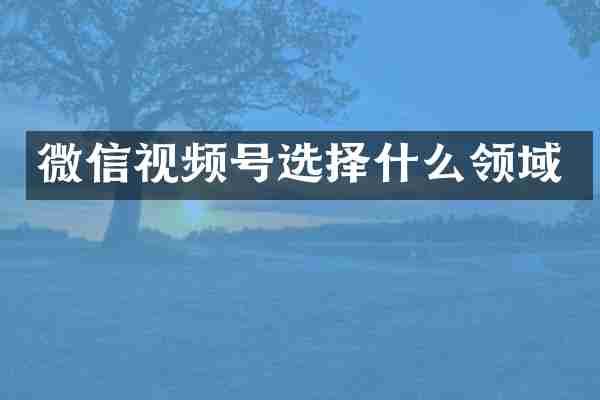 微信视频号选择什么领域